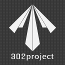302project